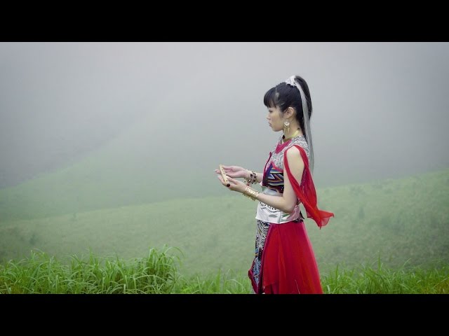 KOTO 