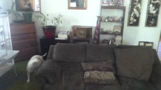 Dubstep dance funny as hell FAIL
