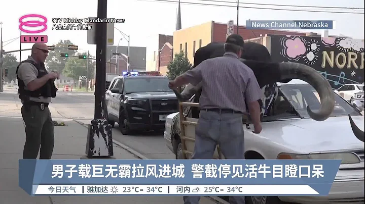 男子载巨无霸拉风进城  警截停见活牛目瞪口呆【2023.09.01 八度空间午间新闻】 - 天天要闻