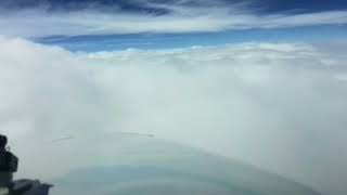 FL290