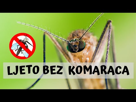 KAKO SE RIJEŠITI KOMARACA