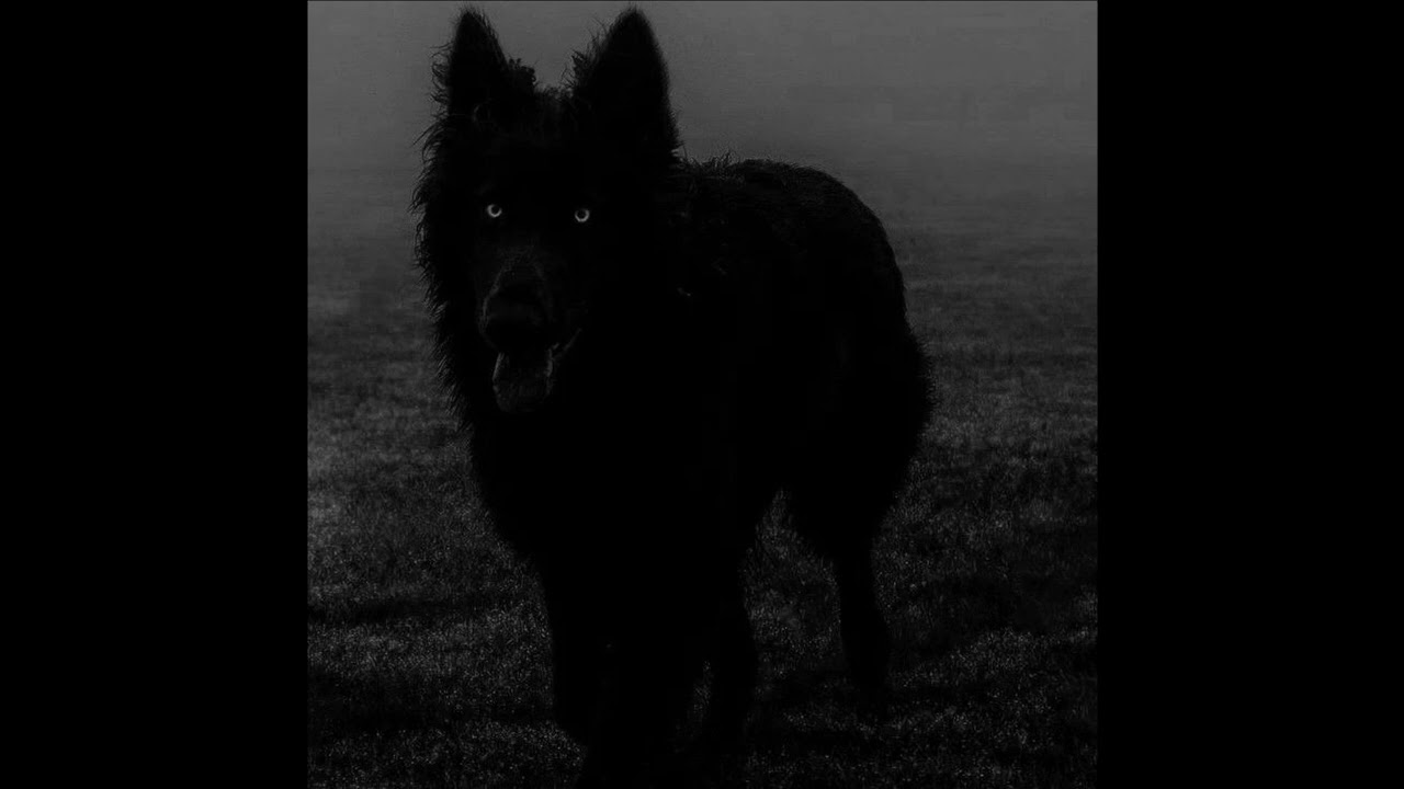 [FREE] Future Type Beat  (HARD) - 