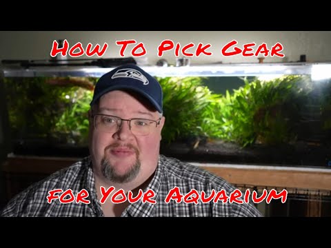 Video: How to choose aquarium equipment?