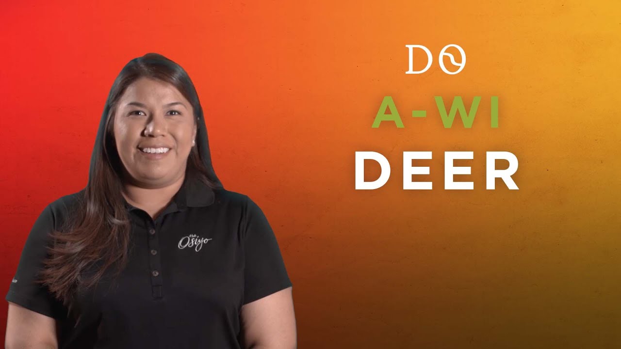 Cherokee Word of the Week Deer YouTube
