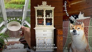 видео: Деревенские будни: преображение шкафчика, козы, новый воск и заготовка дров🔥 картинка: Деревенские будни: преображение шкафчика, козы, новый воск и заготовка дров🔥