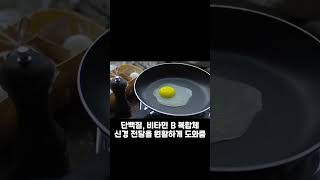 눈 떨림에 좋은 음식 TOP 3 #shorts #건강정보 #눈건강