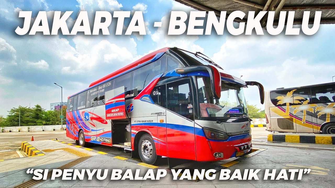 Agen dan Krunya Ramah, Penumpang Full! Happy Trip Bersama Bus CSH 88 Menuju Bumi Rafflesia PART 1