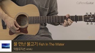 Video thumbnail of "물 만난 물고기 Fish In The Water - 악동뮤지션 AKMU 「Guitar Cover」 기타 커버, 코드, 타브 악보"