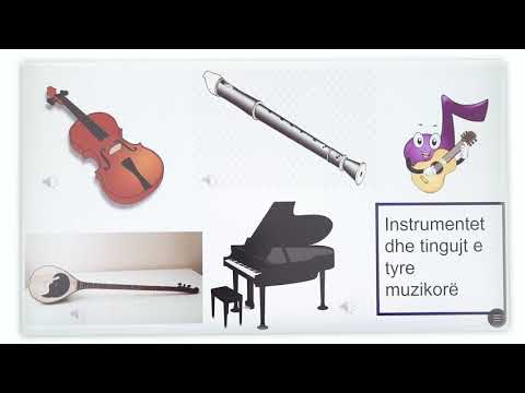 Video: Çfarë Instrumenti Muzikor Të Zgjedhësh Për Një Fëmijë