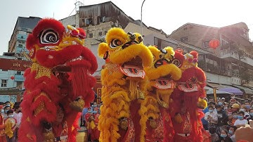 Múa Lân Sư Rồng - Nhơn Nghĩa Đường Tứ Quý Lân Tết 2021 | Long Shi | Lion Dance Dragon Dance