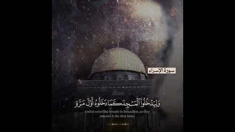 راحة نفسية للقارئ اسلام صبحي حالات واتس اب❤️.