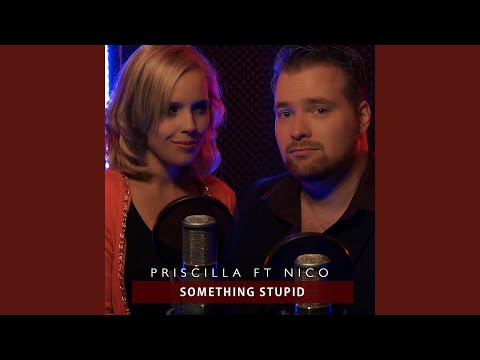 Something Stupid 