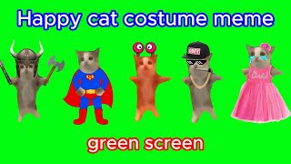 Happy cat meme green screen ( no copyright, free to use )