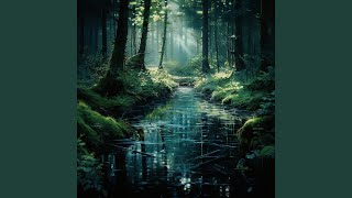 Study in Water’s Harmony