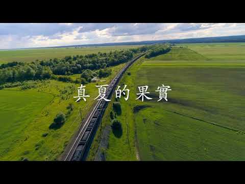 真夏の果実 Manatsu no kajitsu (Midsummer's Harvest)