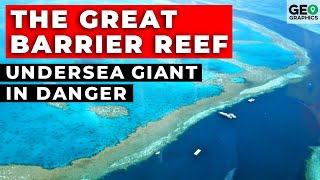 The Great Barrier Reef: Undersea Giant in Danger The Great Barrier Reef: Undersea Giant in Danger