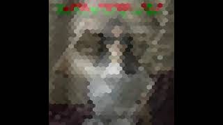 Behayo Shaytonlar.. Xusnik Music