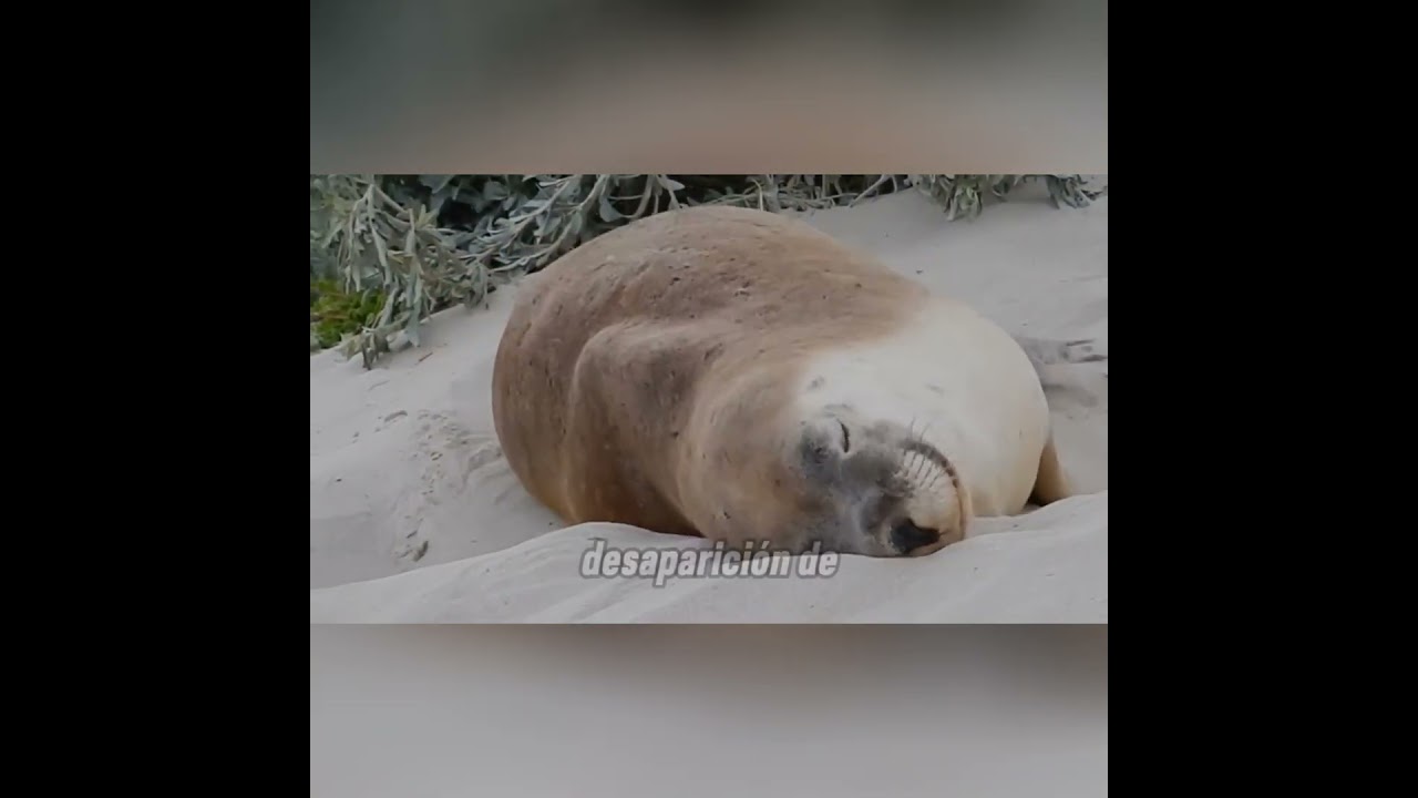 EL PLANETA SE DERRITE