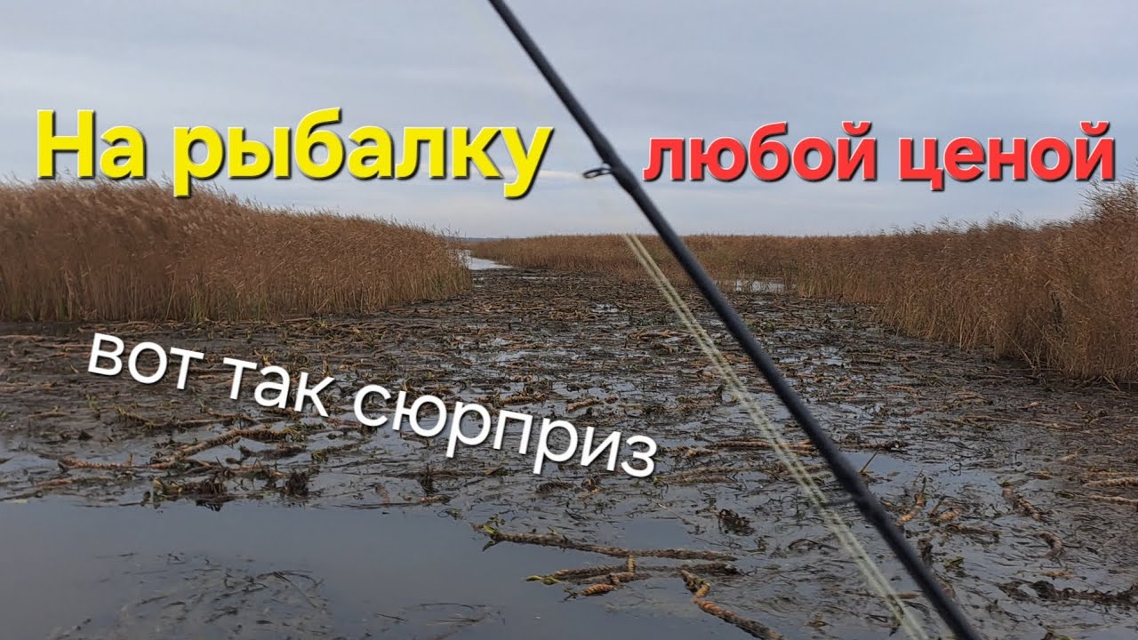 Ловим щуку. Вот такой сюрприз. Гости из Литвы.