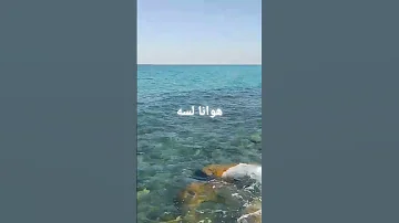 دهوانا لسه بعيد خليك ياجرح بعيد 
