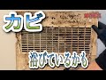 【お風呂換気扇24時間タイプ】外さないと分からない裏の顔