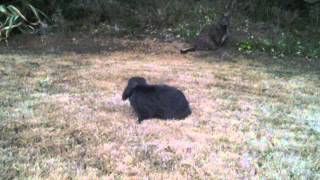 20120814 202941