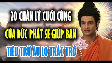 20 Chân Lý Cuối Cùng Của Đức Phật Nghe Mỗi Ngày Sẽ Giúp Bạn Tiêu Trừ Âu Lo Trắc Trở