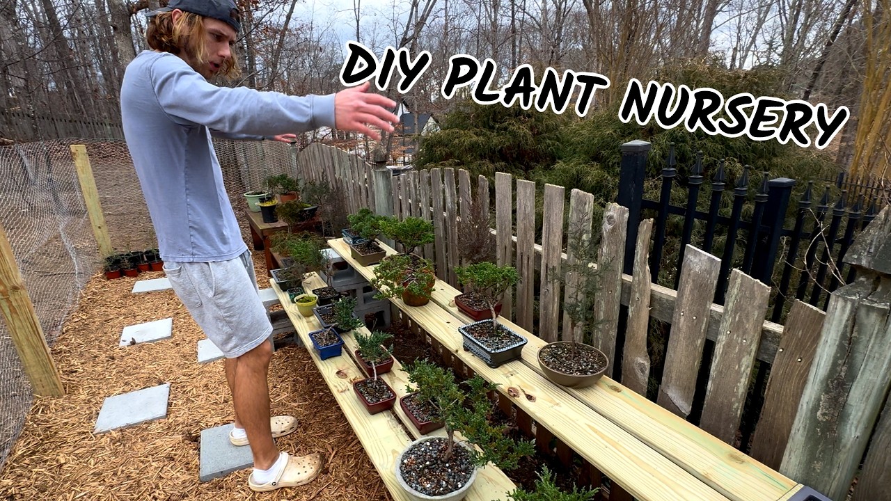 I Built an EASY DIY Plant Nursery at Home!