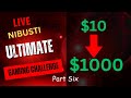 From Passion to Profit! On The $10 To $1000 Challenge on Nibusti (Part six)