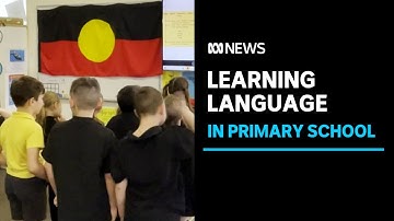 Teaching kids the Indigenous language of the land they live on | ABC news