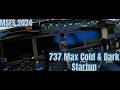 737 Max - Cold and Dark startup - Microsoft Flight Simulator 2024