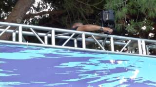 Career Overview Five-Star Audio Visual SETUP for SIMA's Annual Waterman's Ball