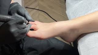 IMG 3173