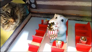 Hamster Escape Maze Baby Hamster  Watch Movie at the Cinema | My Hamster Heaven
