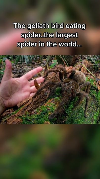 This is terrifying 😳