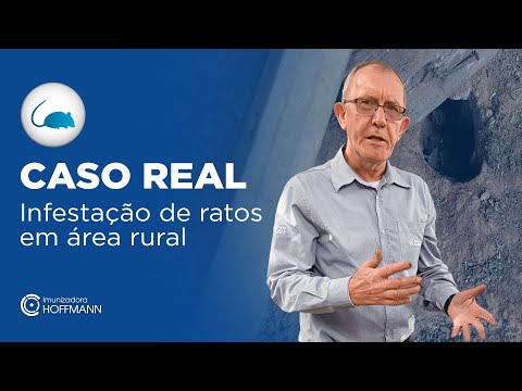 Caso Real: Infestação de ratos em área rural | Imunizadora Hoffmann