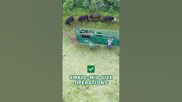 E-3000 Cattle Handling System | The Ultimate Package for Smaller Operations #cattle #cattlefarm