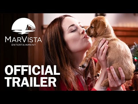 12 Pups of Christmas - Official Trailer - MarVista Entertainment