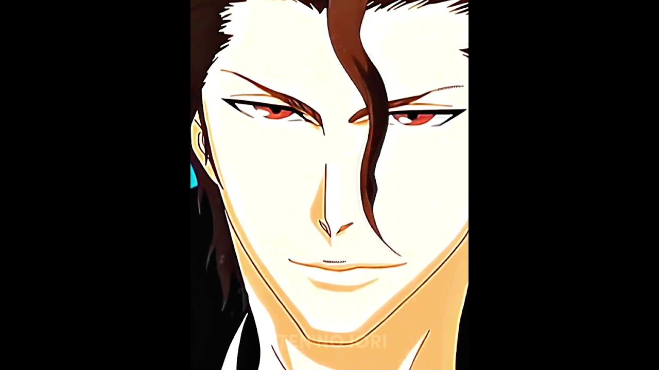 Aizen (Base) Vs Lucius(Paladin Form)