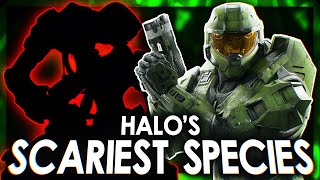 The Scariest Species in Halo lore (Worse Than The Flood)