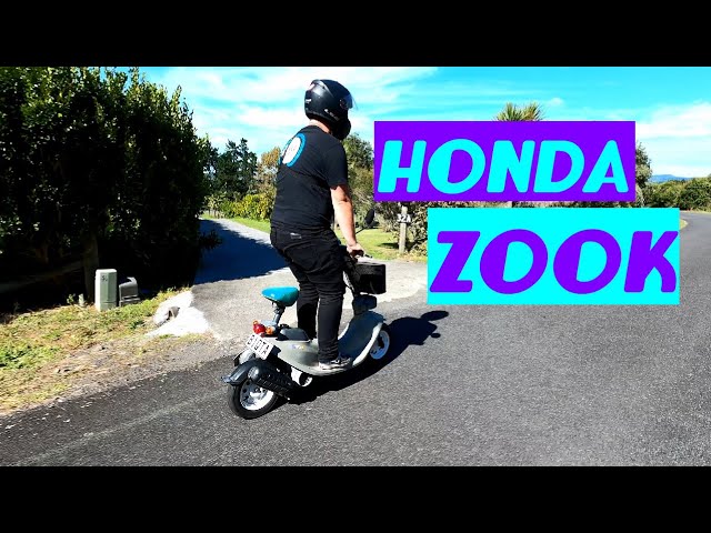 A proper look: 1990 Honda Zook (AF26) - YouTube