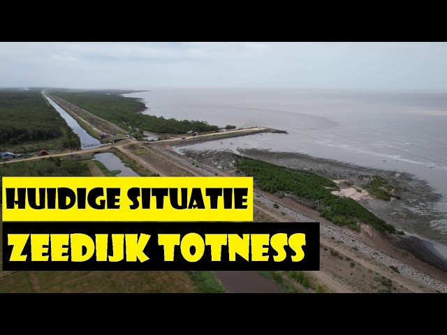 DE ZEEWERINGSDIJK bij Totness, Coronie 🇸🇷 | Bescherming tegen de oceaan | 4K Drone-beelden |