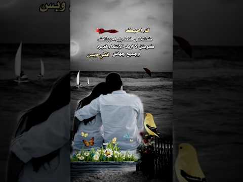 احب بت ك ك وط ن انتي وبس