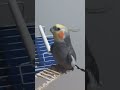 Que lindinha!!