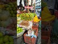kolkata#streetfood#youtube#shorts#viral#video
