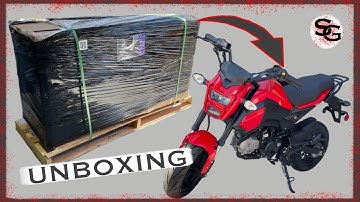 NEW PROJECT REVEAL! 2021 Boom Vader (Honda Grom Clone)