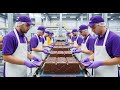 Inside the CHOCOLATE  Factory - How Chocolate Is Made | Factory Line Dynamics
