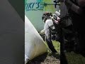 Get in the Snake! | EP:03 Unlocked Series #paintball