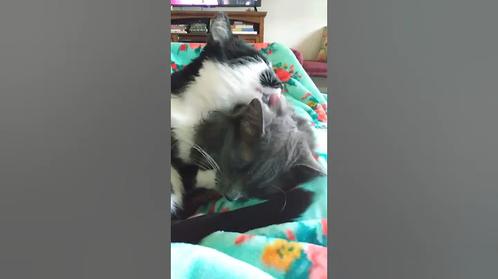 Such a hard life