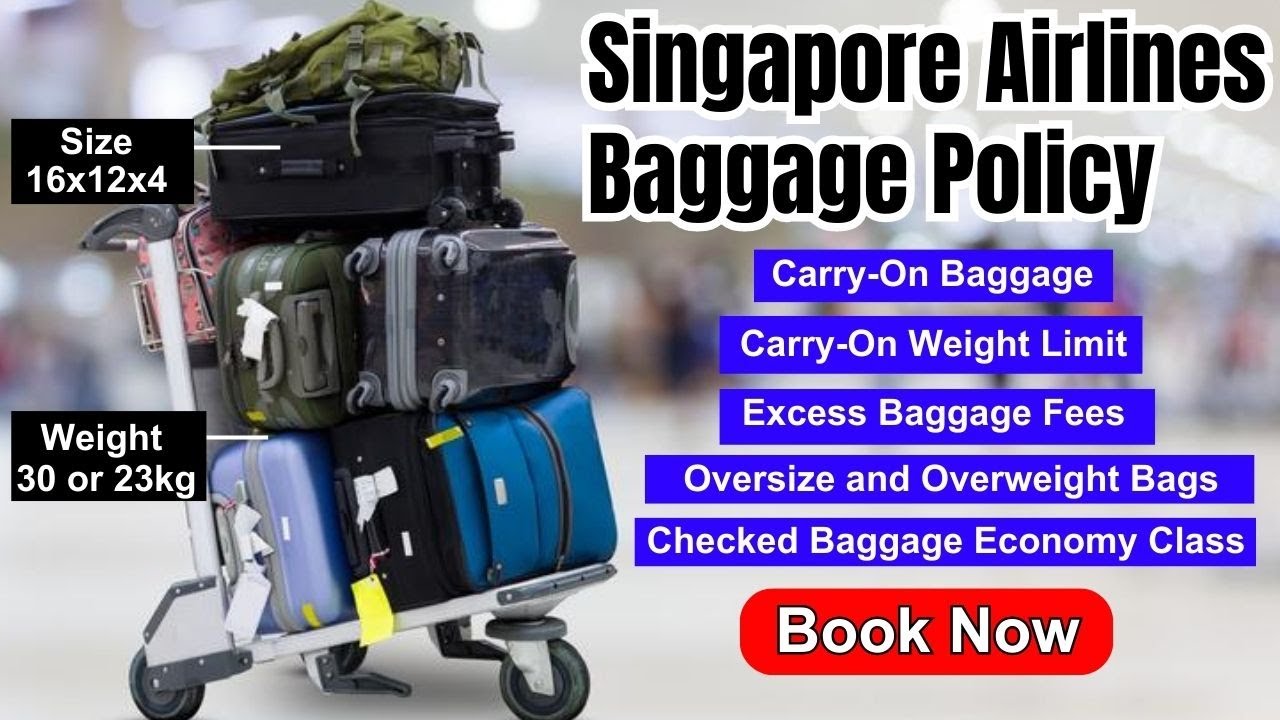 SINGAPORE AIRLINE BAGGAGE POLICY | 10 BEST THINGS YOU MUST KNOW! Free ...